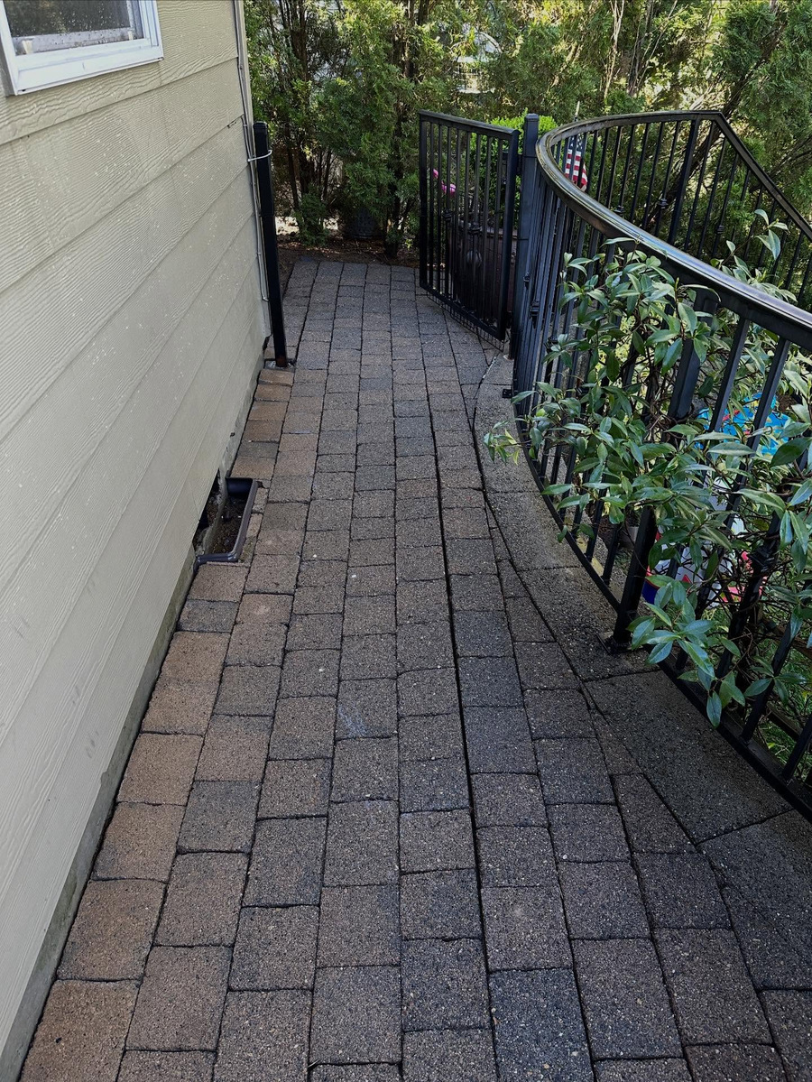 Paver walkway beside a home, after cleaning