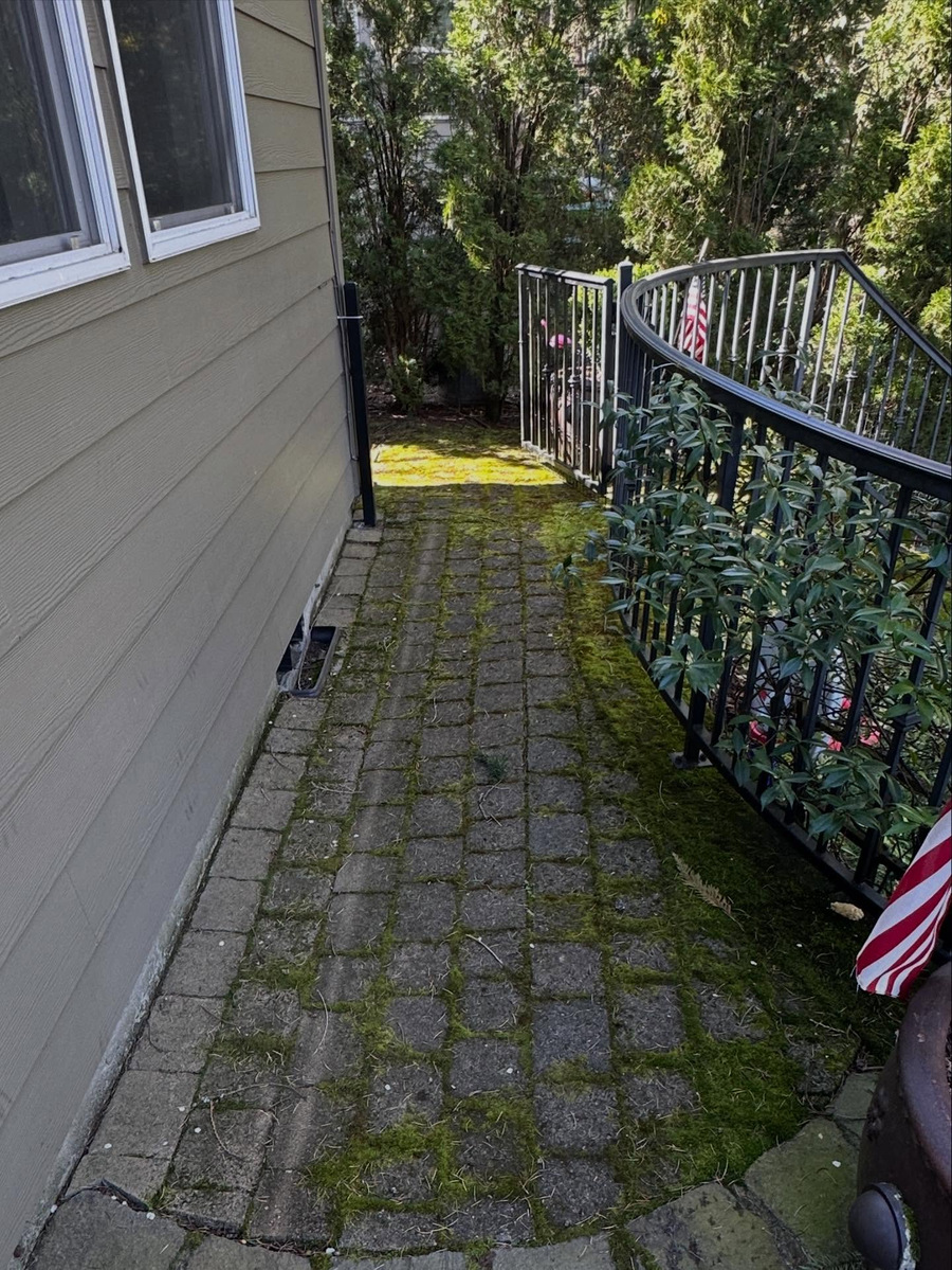Paver walkway beside a home, before cleaning