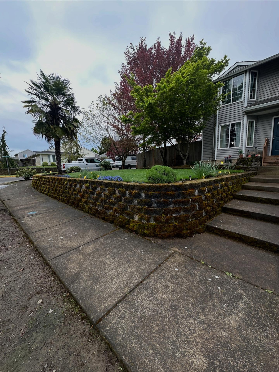 Retaining wall and sidewalk, before cleaning